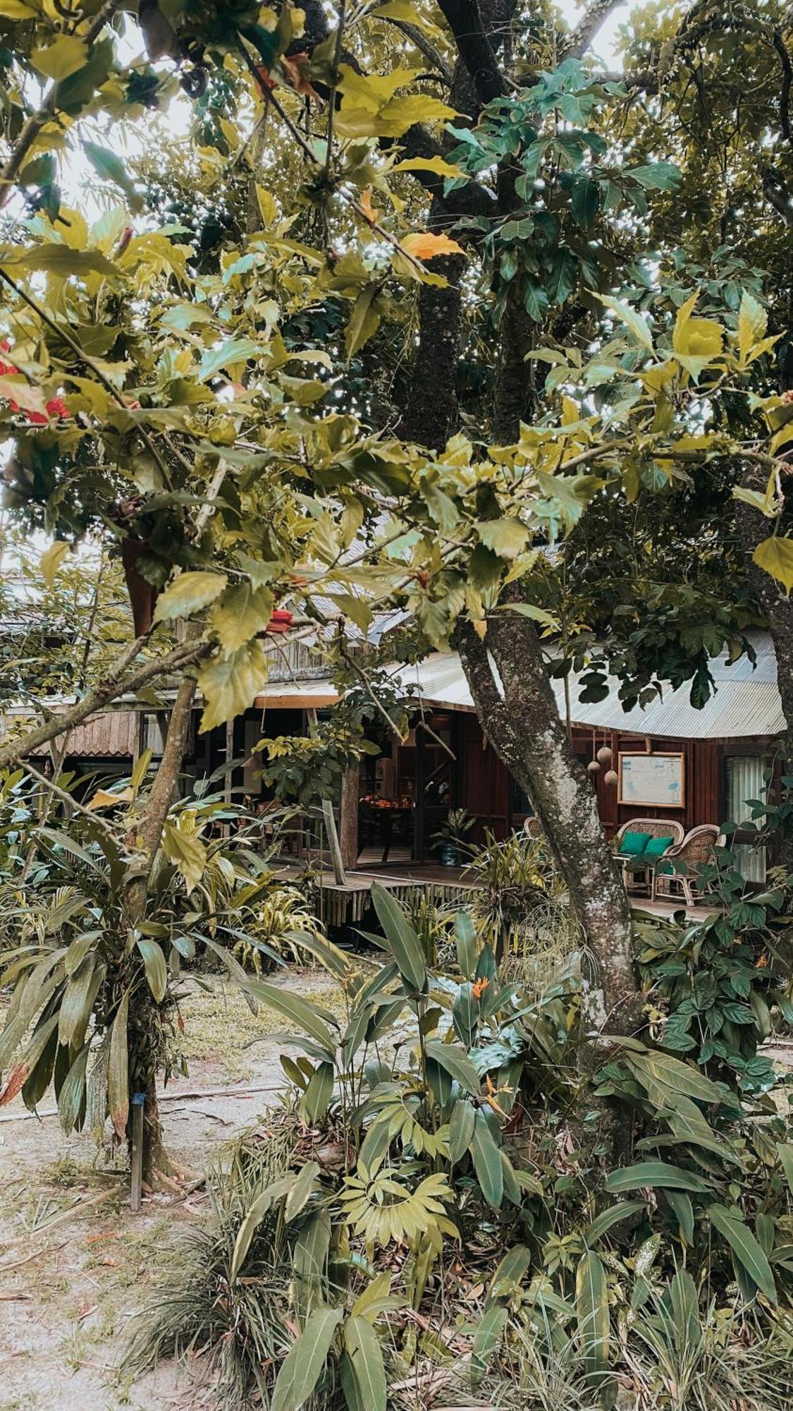 Bukit Raya Guesthouse Palangka Raya Exterior foto